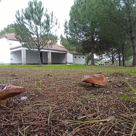 Villa Casa De Perais Esterno foto