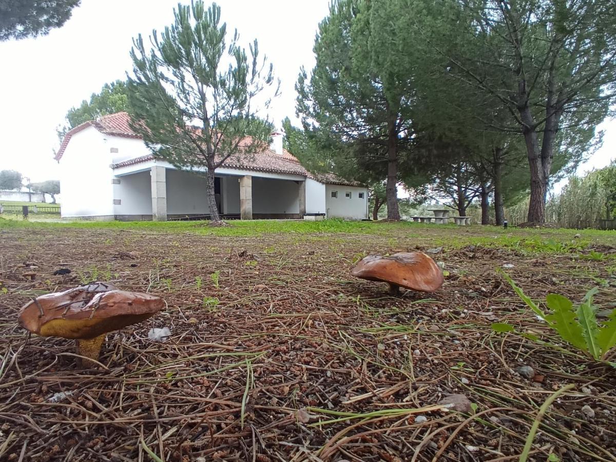 Villa Casa De Perais Esterno foto
